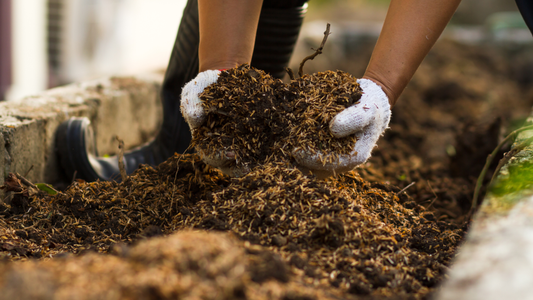 Composting